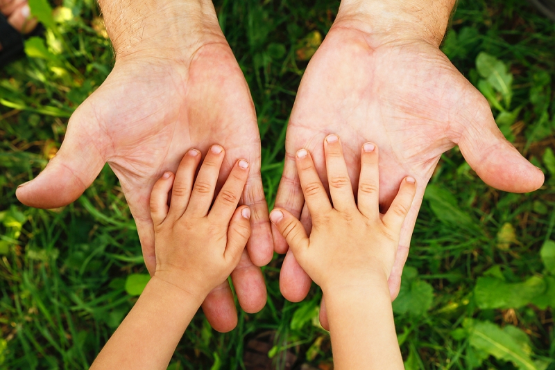 Parent and Child Hands